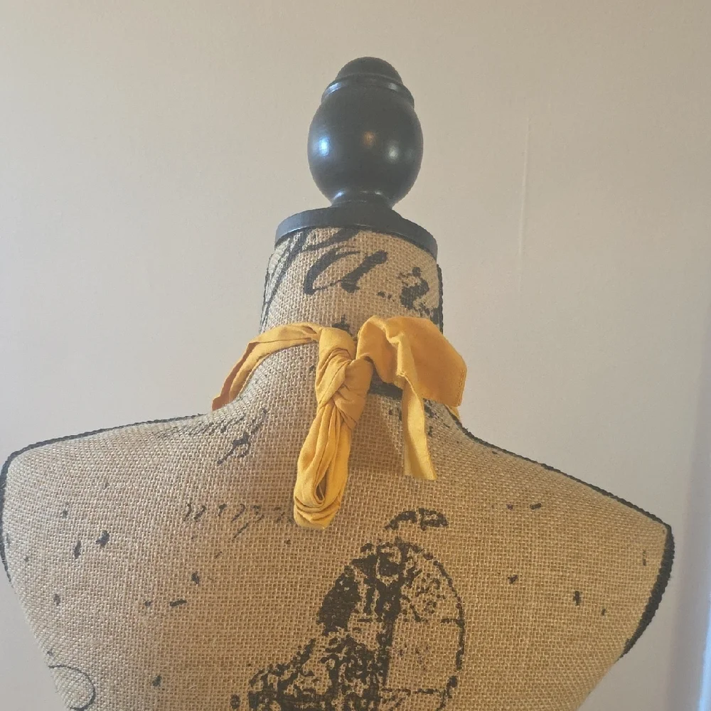 Sur La Table Vintage Inspired Apron with Blue and Yellow Design - Picture 3 of 4